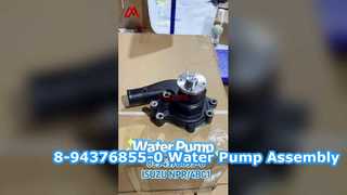 8-94376855-0 Assemblaggio pompa d'acqua con guarnizione adatta a ISUZU TFR 4BG1 8943768550