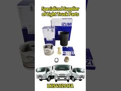Parte di ricambio OEM per ISUZU/Mitsubishi/HINO/JAC/NISSAN/TOYOTA