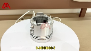 pistone 0-10303000-7