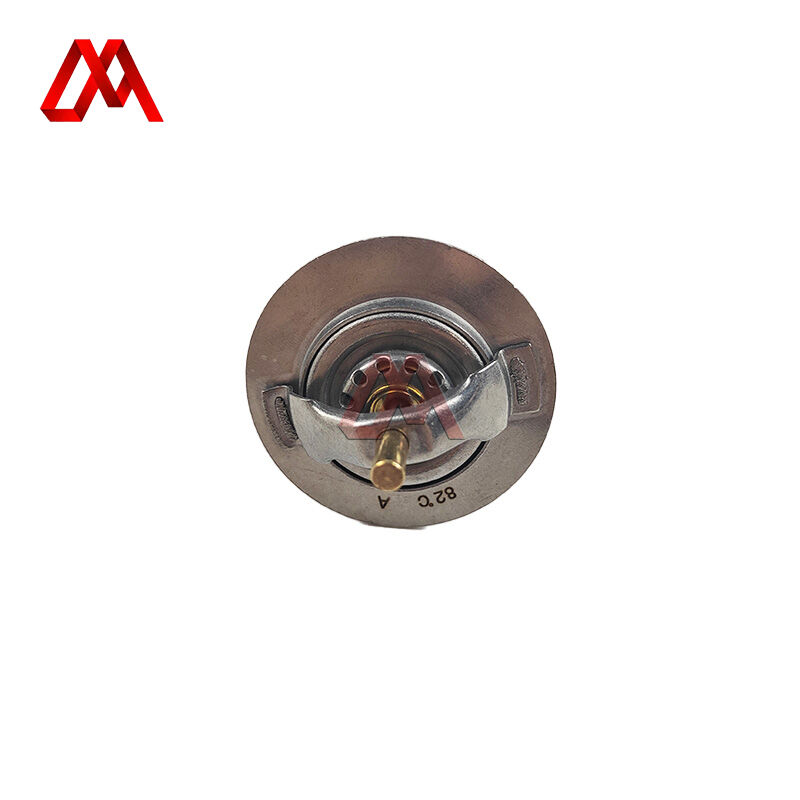 Truck OEM Parts 8976020480 8-97602048-0 Thermostat for ISUZU FVR 6HK1