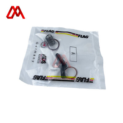 BM1104-G001-01 Kit di riparazione della pompa a mano per autotrasporto